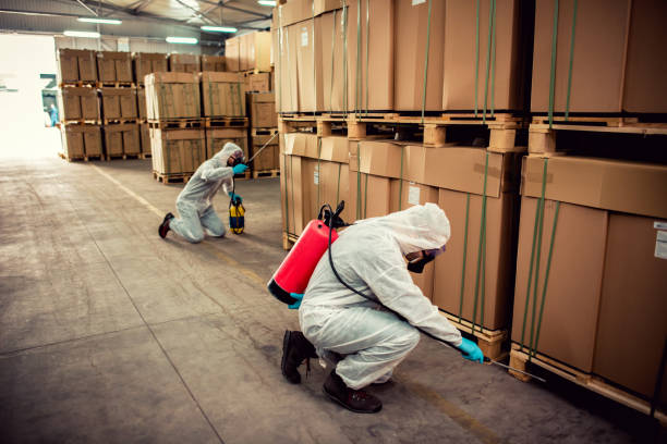 Best Exterminator Services  in Willoughby Hills, OH
