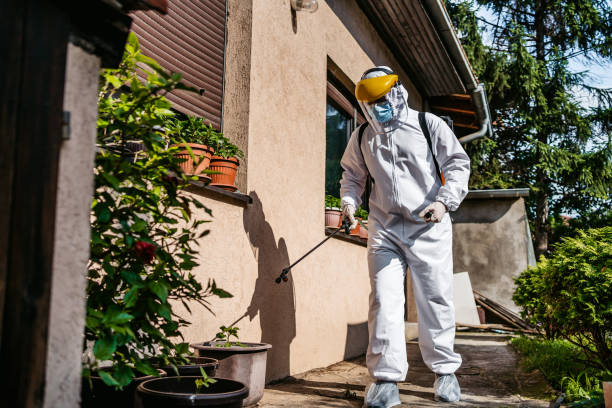 Best Termite Control Services  in Willoughby Hills, OH