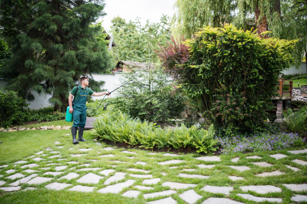 Best Wasp Removal Services  in Willoughby Hills, OH