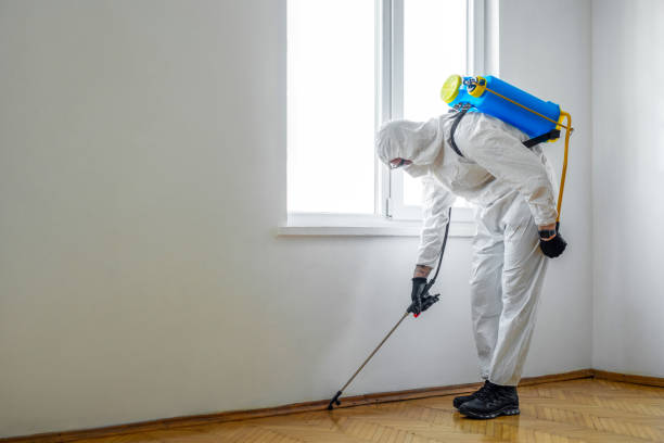Best Pest Control Near Me in Willoughby Hills, OH