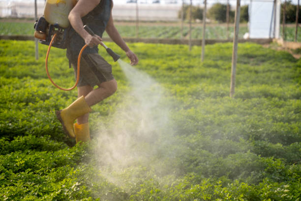 Best Affordable Pest Control Services  in Willoughby Hills, OH